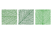 Tree leaf veins vector textures, a Texture Illustration by Vector Tradition (Thumbnail 1 of 3)