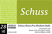 SchussNewsProMedIta No. 28 (1 Font), a Serif Font by typic schuss (Thumbnail 1 of 6)
