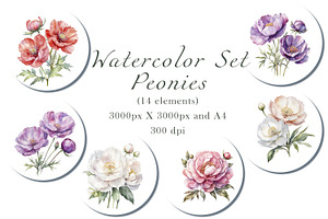 Peony Set