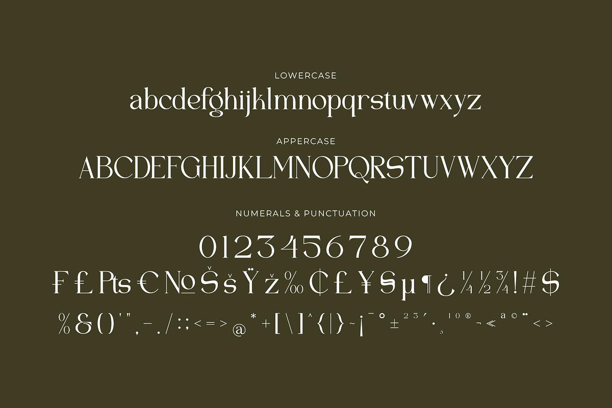 Quelgira - Serif Typeface Font, a Serif Font by Rishsketch (Photo 12 of 15)