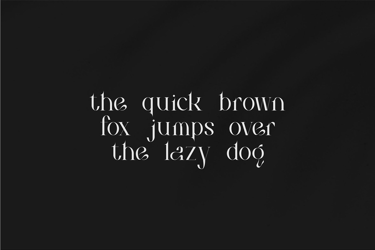 Bilea - Unique Brilliant Font, a Serif Font by suhadidesign (Photo 5 of 14)
