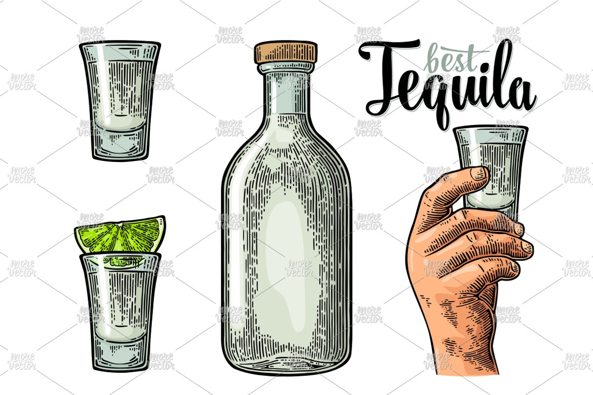 Tequila. Illustrations and posters, an Illustration by MoreVector (Photo 4 of 11)