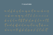 HAMILTON SIGNATURE font, a Handwritten Font by supfonts (Thumbnail 4 of 9)