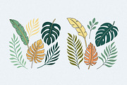 Green Leaves Watercolor Clipart, an Illustration by Helospace (Thumbnail 2 of 10)