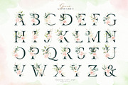 Watercolor Blush Floral Alphabet Set, a Decorative Illustration by Veris Studio (Thumbnail 12 of 24)