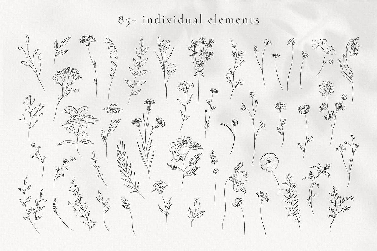 Line Art Wild Flowers Illustrations, a Decorative Illustration by La Petite Line Art (Photo 2 of 12)