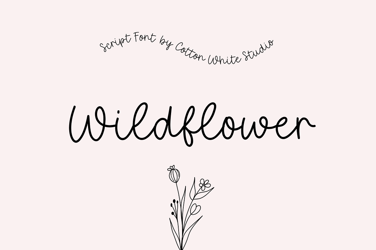 Wildflower Script Font, a Script Font by Sofia Skoog (Photo 1 of 11)