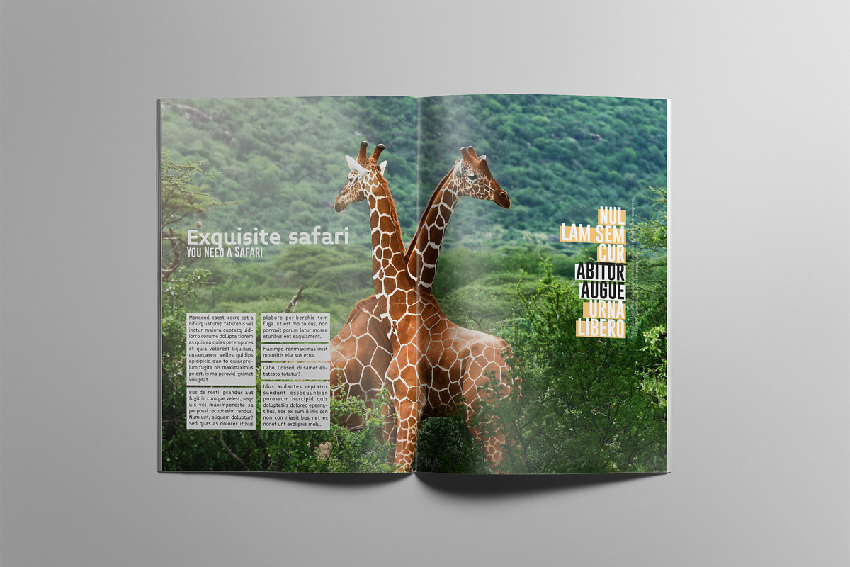 Travel Magazine Layout, a Magazine Template by Swayang (Photo 14 of 23)