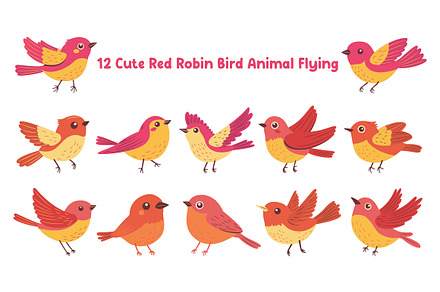12 Cute Red Robin Bird Animal Flying, an Animal Illustration by jongcreative