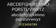 Cumhuriyet VF, a Sans Serif Font by Fontuma (Thumbnail 2 of 12)