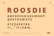 Roosdie Typeface | Vintage Font, a Sans Serif Font by Illousa (Thumbnail 2 of 6)