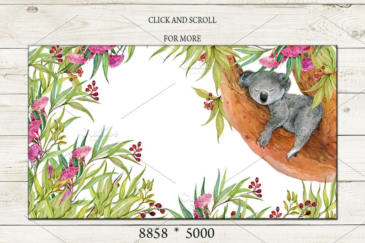 Koala & eucalyptus set illustration, an Animal Illustration by MitrushovaArt (Photo 3 of 7)