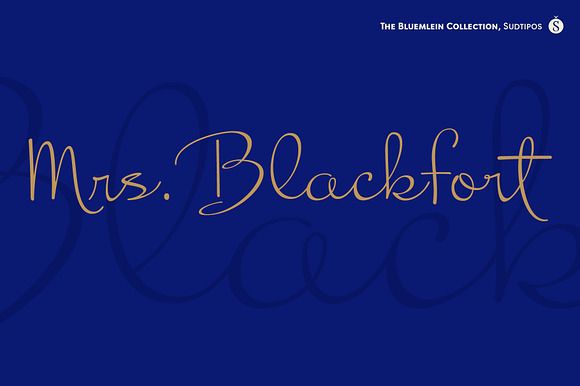 Mrs Blackfort Pro preview 7