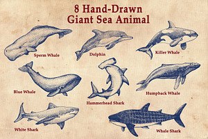 Hand Drawn Giant Sea Animal