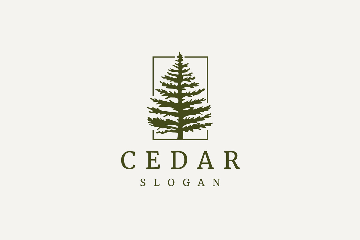 Cedar evergreen pine tree logo, a Branding & Logo Template by brandphant