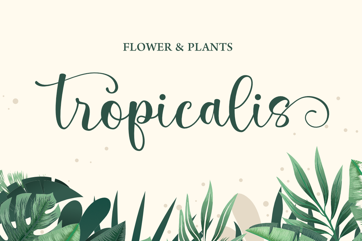 Marilyne -  Modern Calligraphy, a Script Font by Silverdav (Photo 3 of 9)