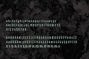 VIKINGAR display font, a Sans Serif Font by Lilli Jemska Studio (Thumbnail 3 of 10)