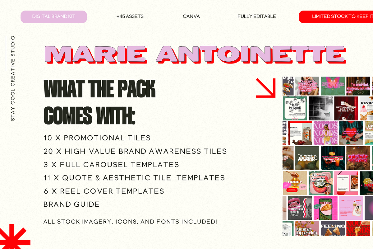 Bold Feminine Brand & Canva Template, a Templates & Theme by Stay Cool Creative Studio (Photo 2 of 5)