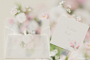 FLORA.PNG | Blurry Flower Collage, an Object Graphic by ana & yvy (Thumbnail 16 of 23)