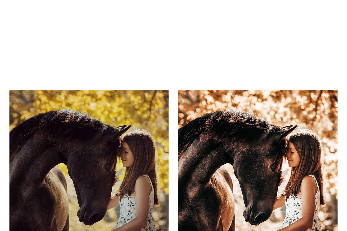 10 Homely Lightroom Presets, a Preset Add-On by MockTurtleStudio (Photo 2 of 8)