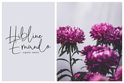 Gahime Signature, a Handwritten Font by Eltypesstudio (Thumbnail 3 of 9)
