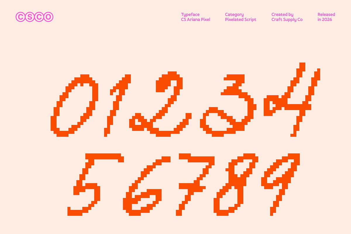 CS Ariana Pixel, a Script Font by Craft Supply Co. (Photo 5 of 8)