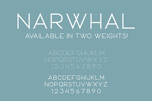 Narwhal