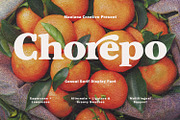 Chorepo Casual Serif Display Font, a Serif Font by Maulana Creative (Thumbnail 1 of 7)