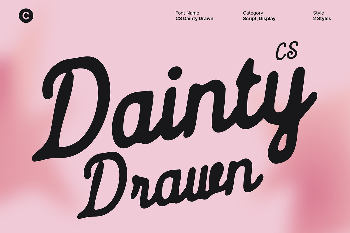 CS Dainty Drawn, a Script Font by Craft Supply Co. (Photo 1 of 8)
