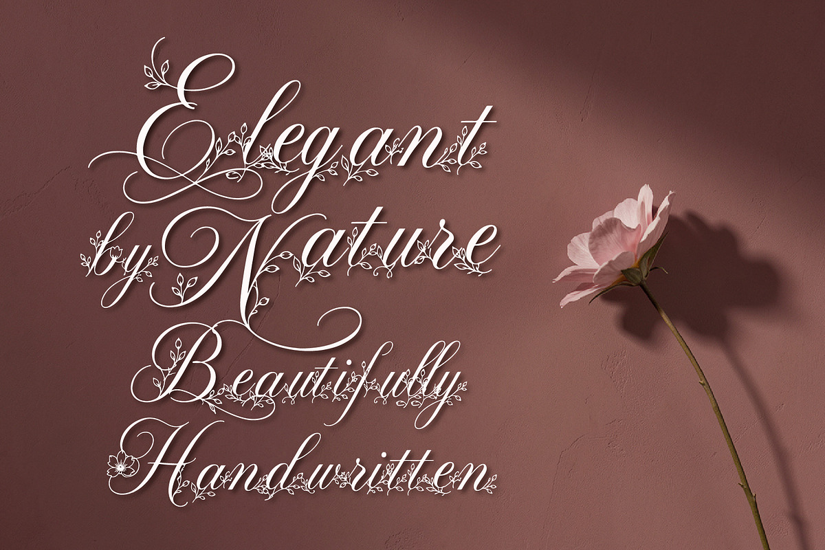FLORAL DECORATIVE FONT COLLECTION, a Script Font by HypeWorksCo (Photo 12 of 18)