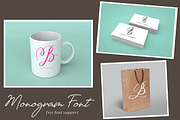 MONOGRAMS BUNDLE A to Z, a Script Font by AMINMARIO (Thumbnail 6 of 37)