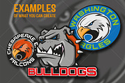 4 Vector Team Mascots, an Education Illustration by Robotrob Design Co. (Thumbnail 2 of 3)