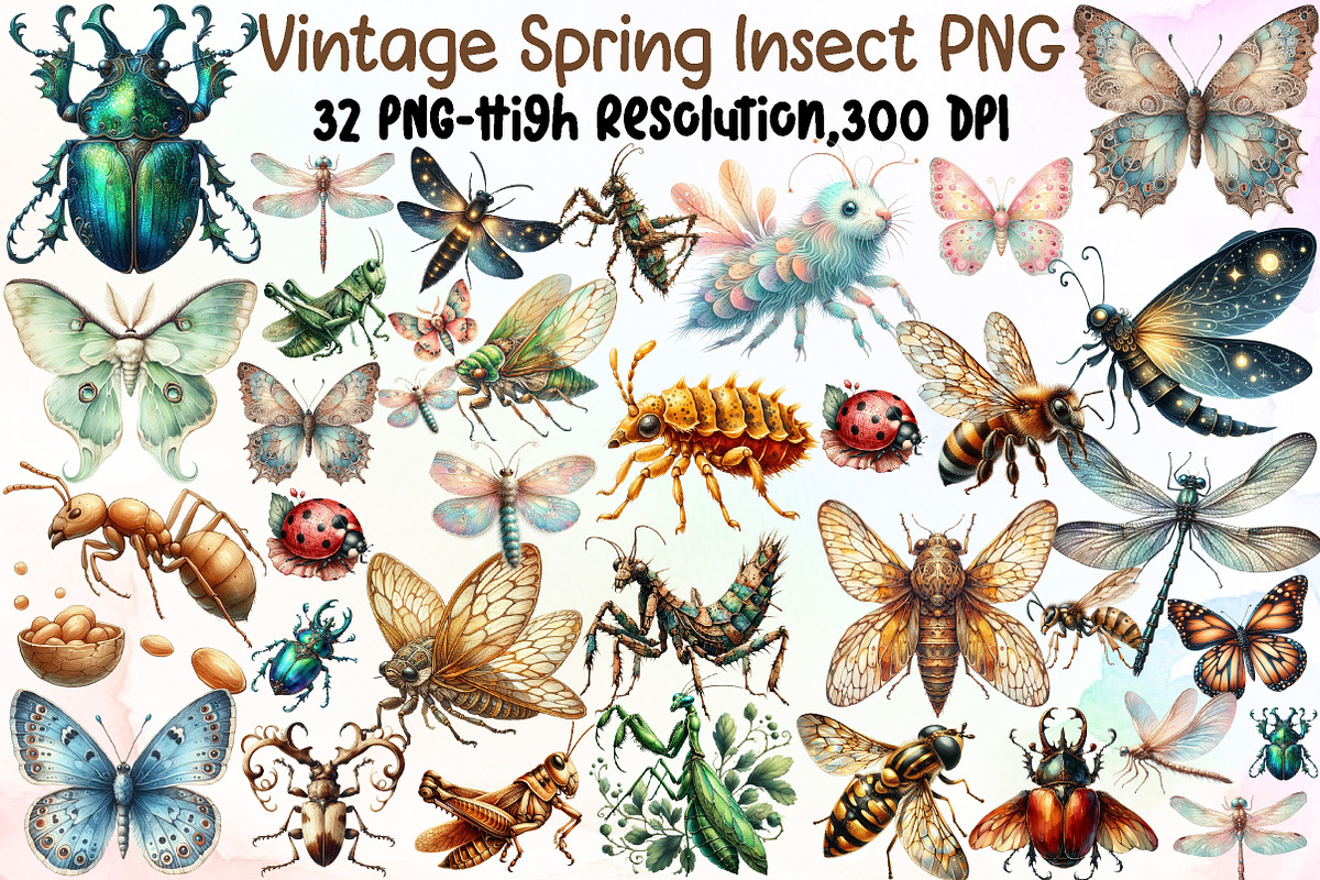 Vintage Spring Insect Clipart, an Illustration by Sublimation Artist (Photo 1 of 6)