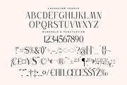 Thorco New Display Serif Font, a Serif Font by Storytype Studio (Thumbnail 12 of 15)