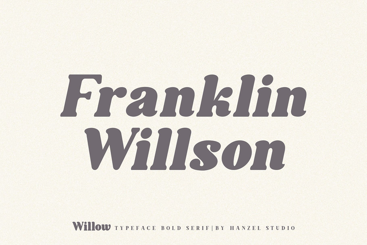 Willow. Typeface Bold Serif preview 2