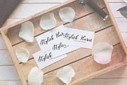 Spontaneity - script font, a Script Font by Astarte_design (Thumbnail 7 of 13)