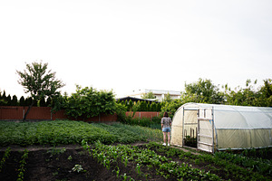 A woman walking beside a greenhouse on a lush vegetable farm, a Person Photo by AS photostudio