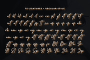 Herstton Signature Font, a Script Font by Cherryline Master (Thumbnail 12 of 12)