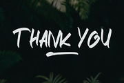 STRIKEOUT || Brush Font, a Script Font by Raseuki (Thumbnail 12 of 13)