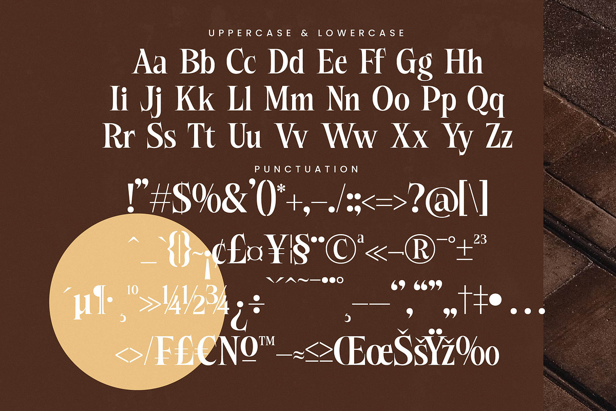 Besteza Modern Serif Display, a Font by timelesstype.co (Photo 16 of 19)