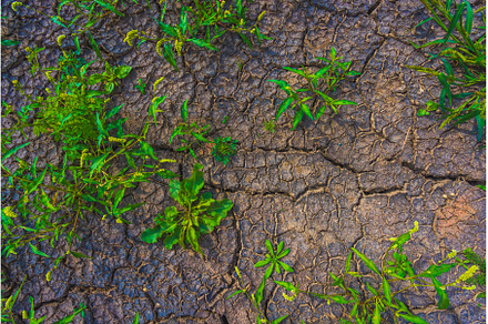 Cracked earth, metaphoric for, an Abstract Photo by Lukas Jonaitis SHOP