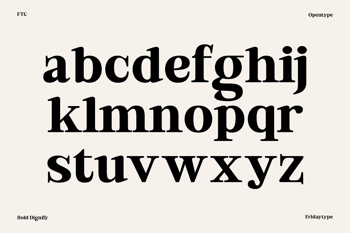 Bold Dignify - Minimalist Calm Serif, a Serif Font by Fridaytype (Photo 7 of 12)