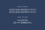 Minimum Dunque Font, a Serif Font by albert_kalingga (Thumbnail 4 of 5)