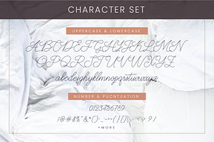 Abbassy Script // Monoline Font