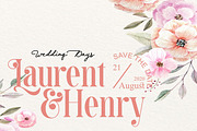 Bachon - Elegant Ligature Serif, a Serif Font by Luna Shop (Thumbnail 4 of 8)