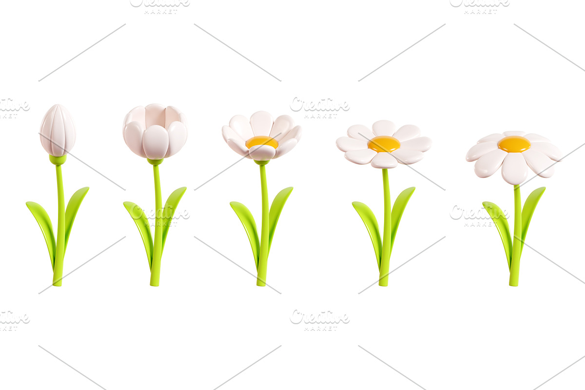 Daisy plastic flower flourish step, a Plants & Tree 3D Model by YuliiaOsadcha
