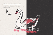 Hand Drawn Swan Illustrations, an Animal Illustration by The October Creative (Thumbnail 2 of 4)