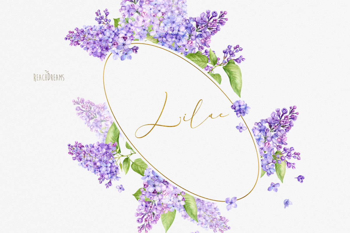 Watercolor Lilac Floral Clipart, a Decorative Illustration by ReachDreams (Photo 8 of 10)