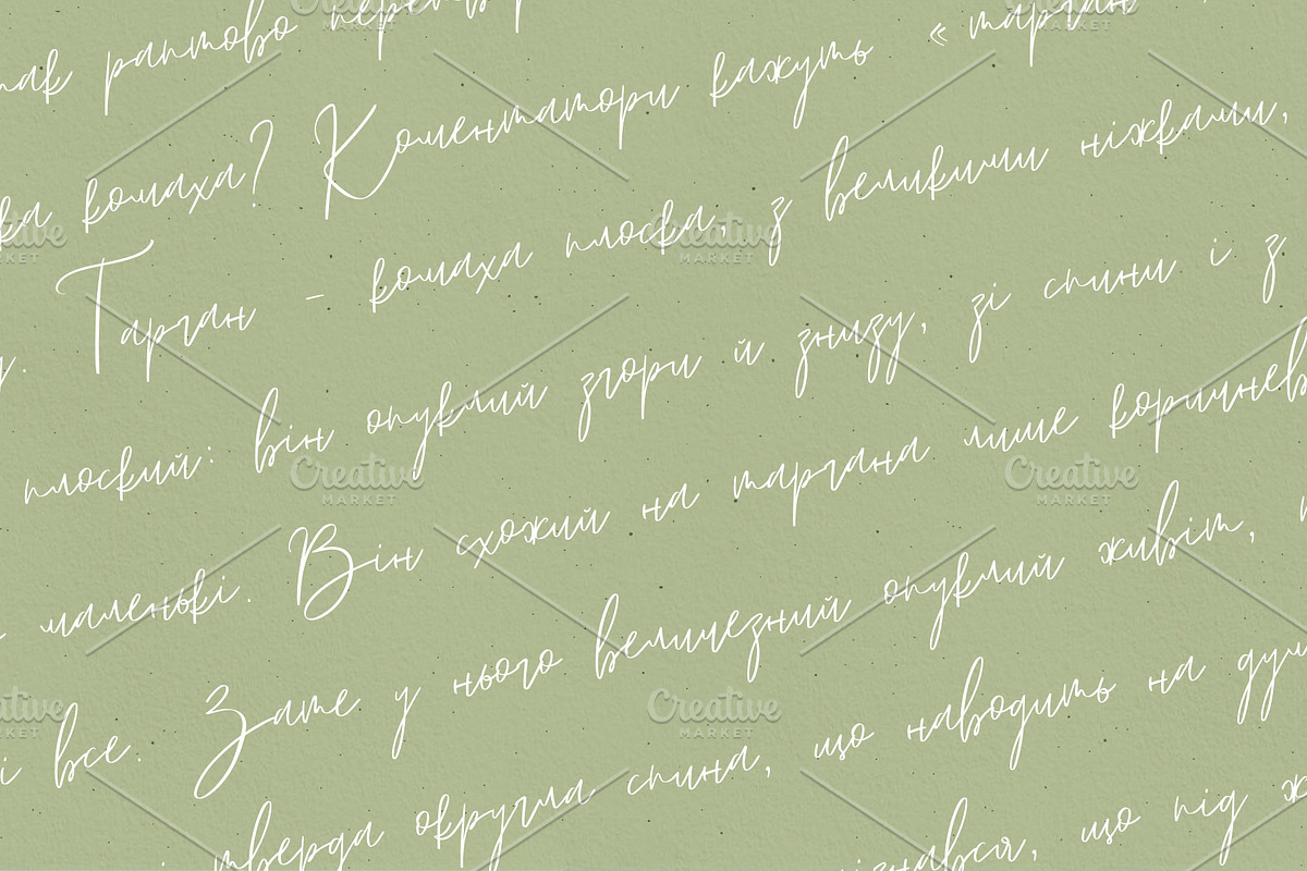 Lyuli Font Script, a Script Font by Anna (Photo 7 of 9)