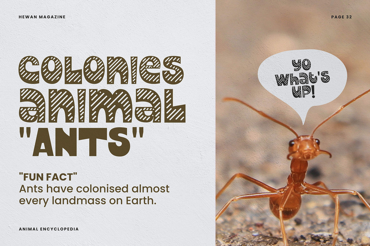 Animalyus Font, a Handwritten Font by Haws.std (Photo 4 of 5)